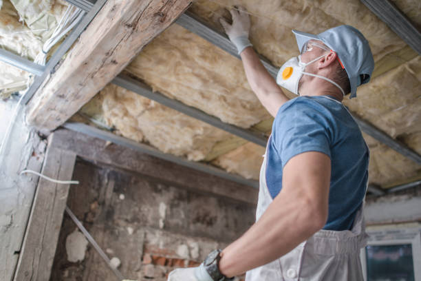 Insulation Air Sealing in Tennessee Ridge, TN