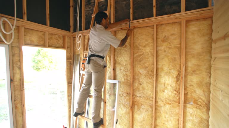 Best Reflective Insulation  in Tennessee Ridge, TN